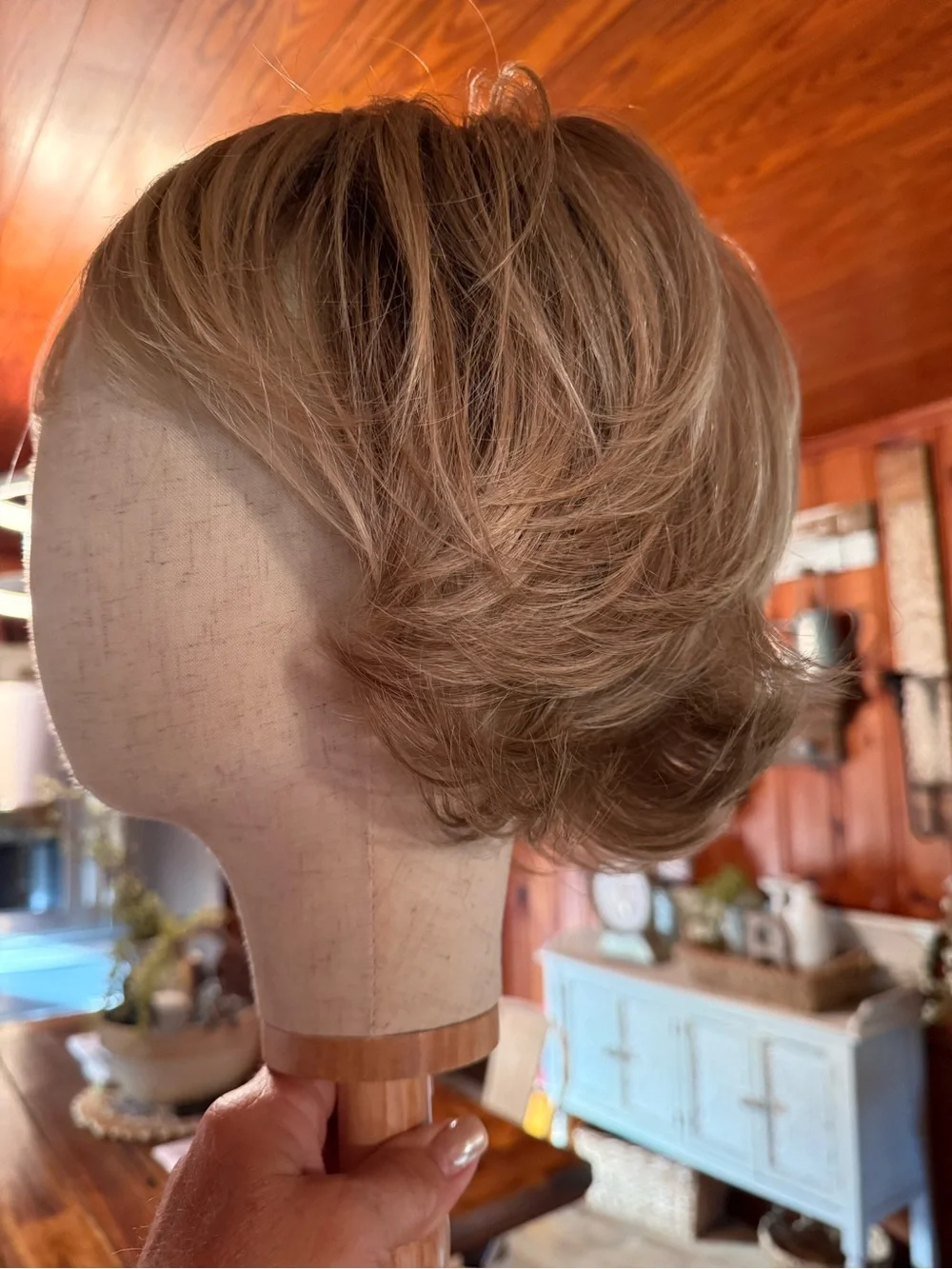 Jon Renau Naomi Wig $240 NWT- never worn